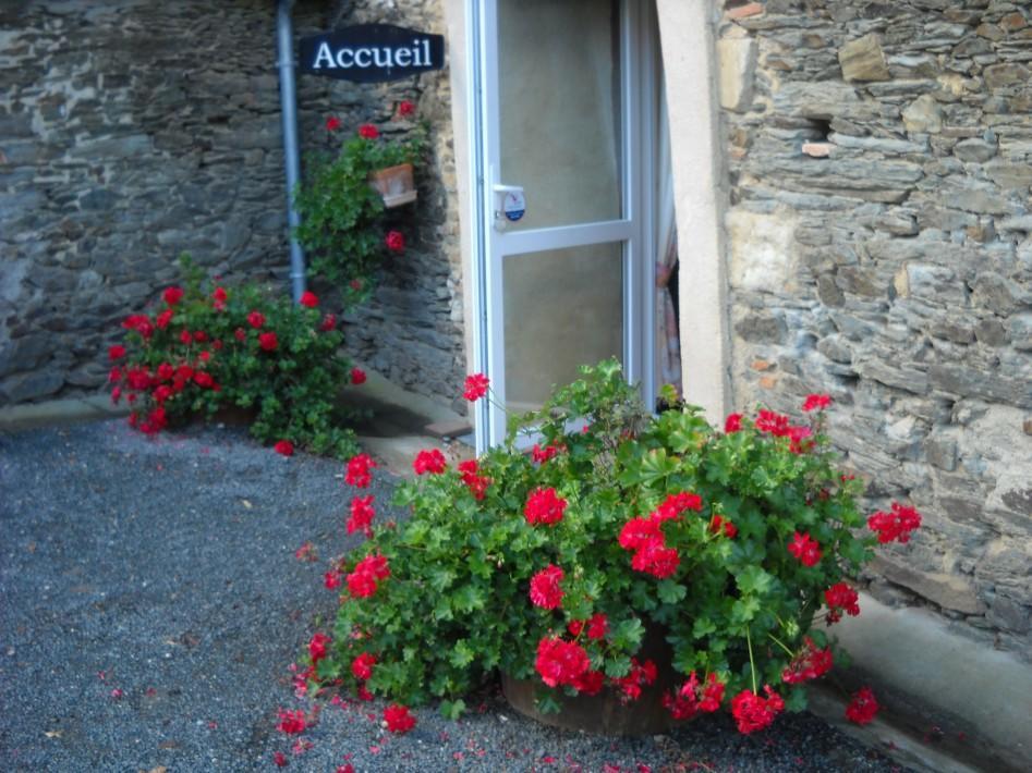 Bed and Breakfast Domaine De La Cour Sainte-Gemme-dʼAndigné Esterno foto